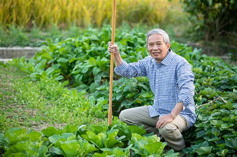 種菜人